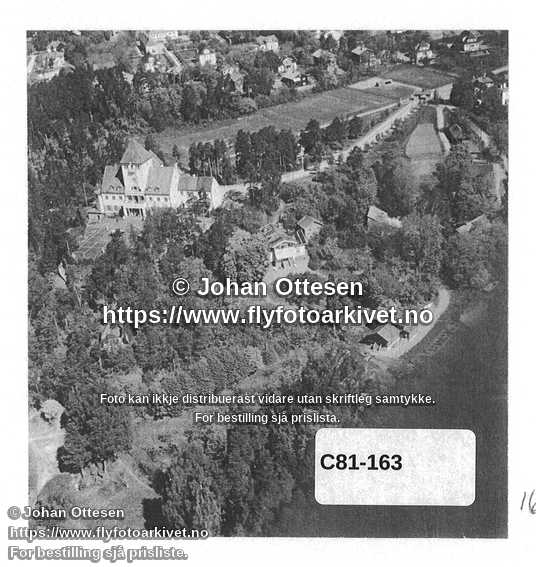 Nummer C81-163