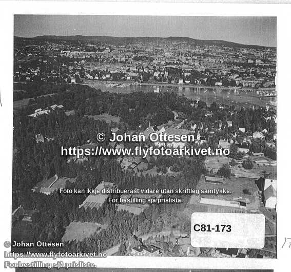 Nummer C81-173
