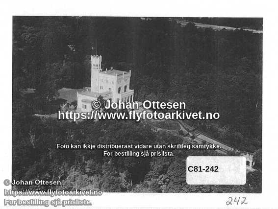 Nummer C81-242