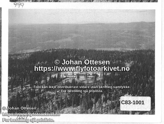 Nummer C83-1001