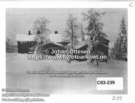 Nummer C83-239
