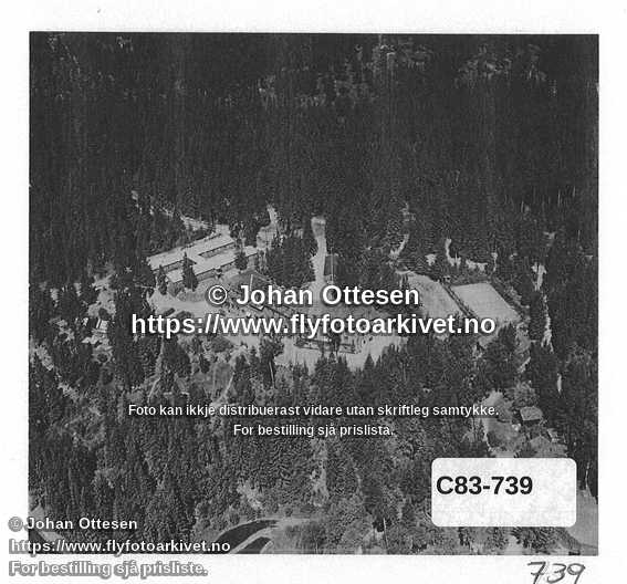 Nummer C83-739