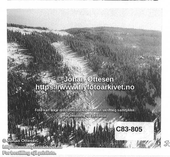 Nummer C83-805