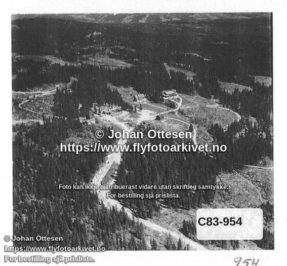 Nummer C83-954