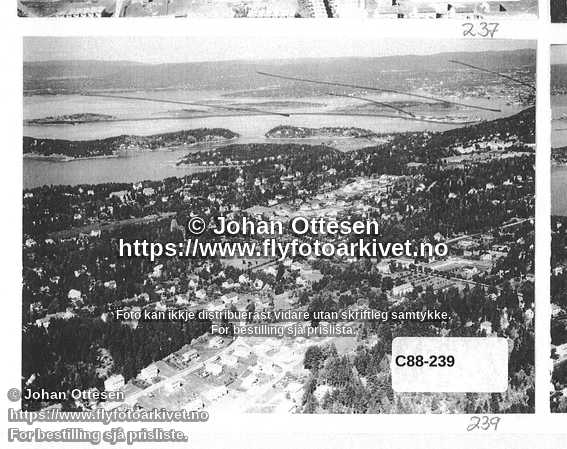 Nummer C88-239