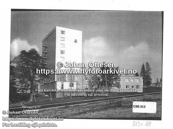 Nummer C88-313