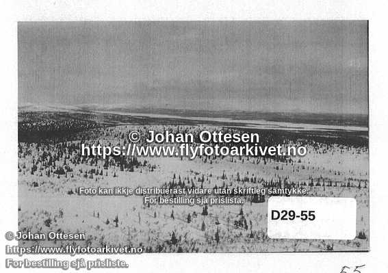 Nummer D29-55