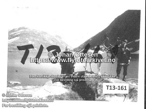 Nummer T13-161