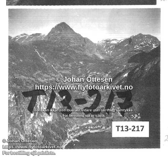Nummer T13-217