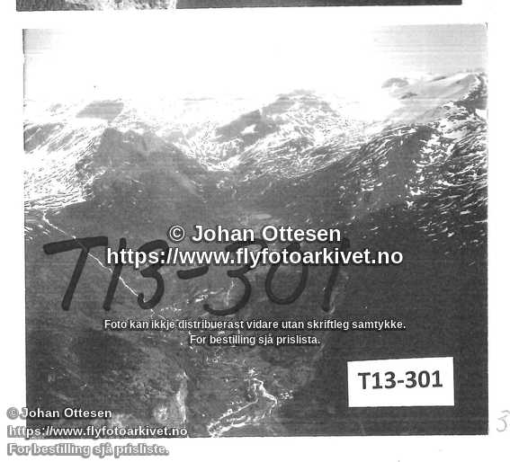 Nummer T13-301