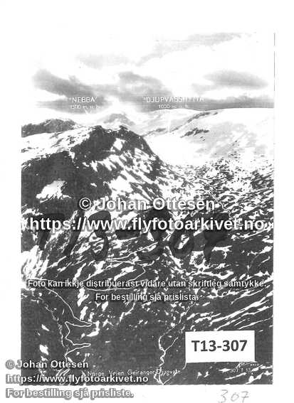 Nummer T13-307