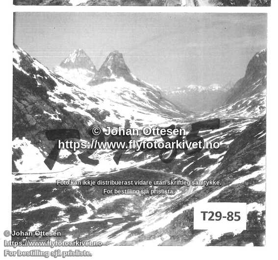 Nummer T29-85