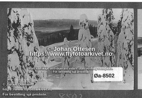 Nummer Øa-8502