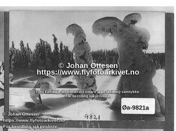 Nummer Øa-9821a