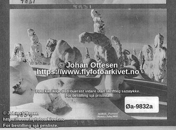 Nummer Øa-9832a