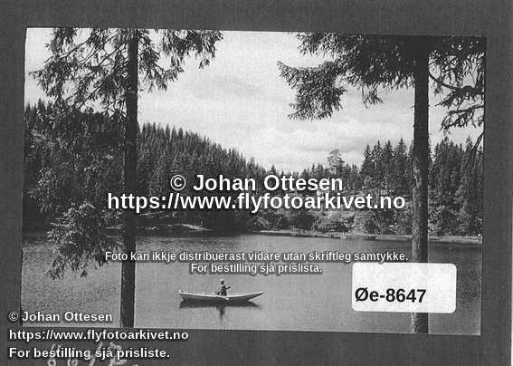 Nummer Øe-8647