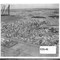 Nummer C21-41