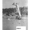 Nummer C88-61