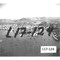 Nummer L17-124