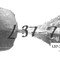 Nummer L37-7