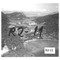 Nummer R2-11