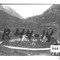 Nummer R44-14
