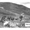 Nummer R44-3