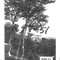 Nummer R48-51