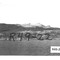 Nummer R49-22