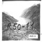 Nummer R50-11