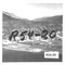 Nummer R54-20