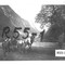 Nummer R55-1