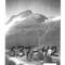 Nummer S37-42