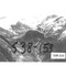 Nummer S38-153