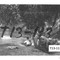 Nummer T13-113