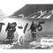 Nummer T13-165