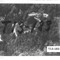 Nummer T13-183