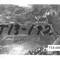 Nummer T13-192