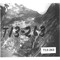 Nummer T13-263