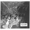 Nummer T13-299