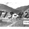 Nummer T13-42