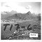 Nummer T17-6