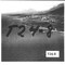 Nummer T24-8