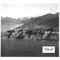 Nummer T29-47
