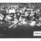 Nummer T34-61