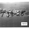 Nummer T39-25