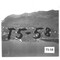 Nummer T5-58