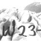 Nummer W23-1