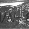 Nummer WN-8