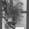 Nummer Øa-881